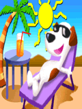 summer